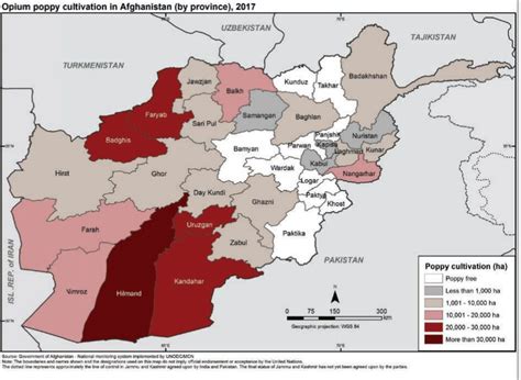 2060x1652 / 661 kb go to map. Record Afghan Opium Crop Signals Violent Year for U.S ...