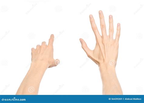 Gestures Topic Human Hand Gestures Showing First Person View Isolated