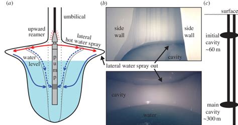 A Schematic Of Cavity Formation B Images From Inside A Cavity At