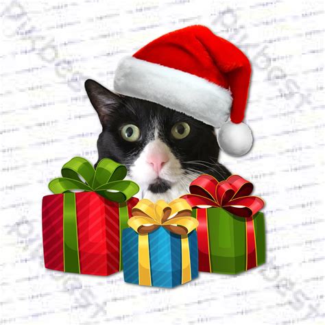 Christmas Tuxedo Cat Png Digital File Etsy