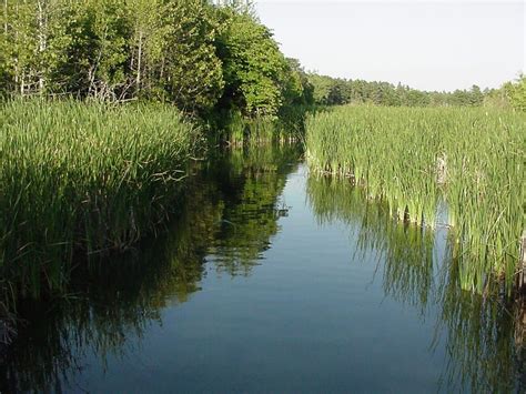 Flowing wells resort & marina. Creek flowing out of Lake Kabekona. | Heaven on earth ...