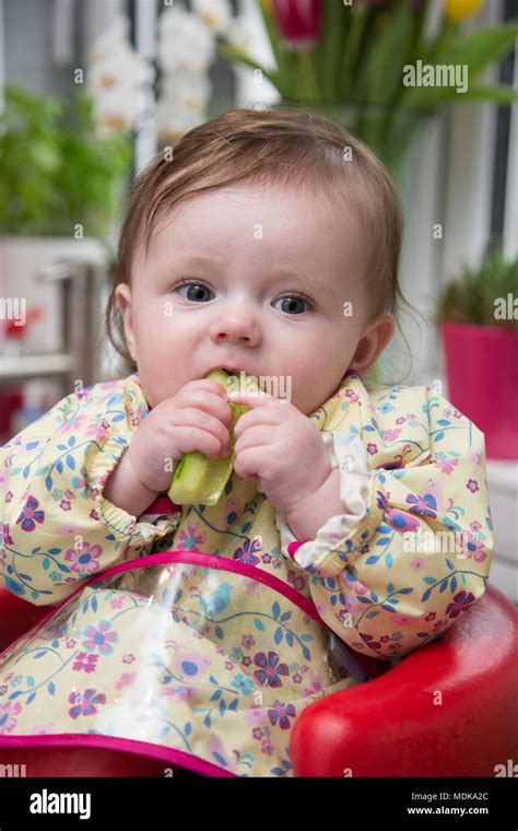 6 Month Old Baby Girl Baby Led Weaning Stock Photo Alamy