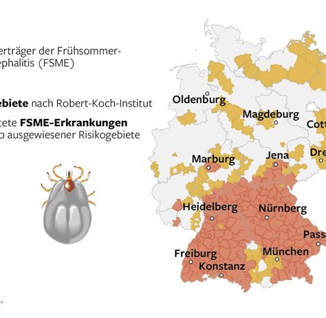 Verringerung der haut druck auf die risikogebiete. Bayern: Bereits vier FSME-Erkrankungen durch Zecken - WELT