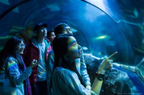 All You Need To Know About Sea Life London Aquarium