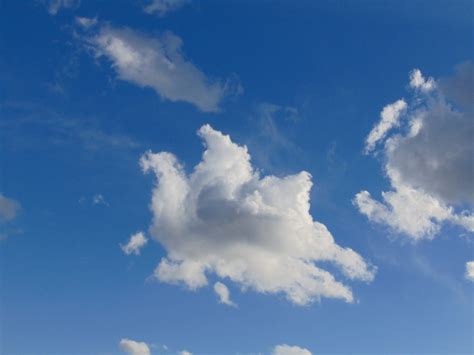 Creative Fund Free Images Sky Clouds Shape Shaped Cloud Clouds Sky Sky And Clouds