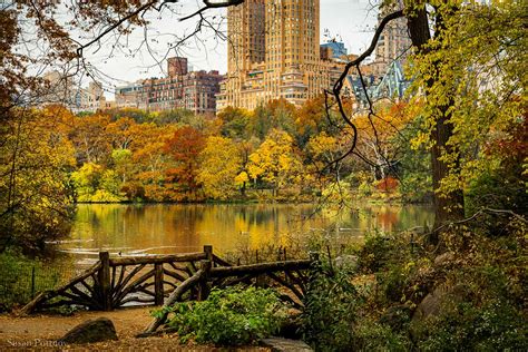 Central Park In Fall The Best Places To Photograph Autumn Foliage