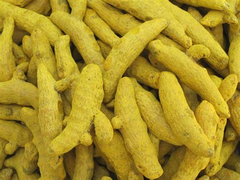 Turmeric Finger At Best Price In Erode By Ganga Corporation ID
