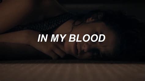 Please leave a comment below. Shawn Mendes - In My Blood (Lyrics) (Skins) - YouTube