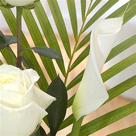 We did not find results for: Always and Forever | Rays Florist Funeral Flowers