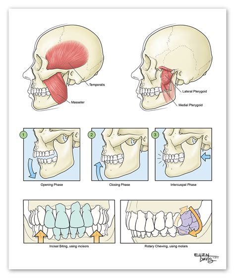 Precision Medical Media — Illustration