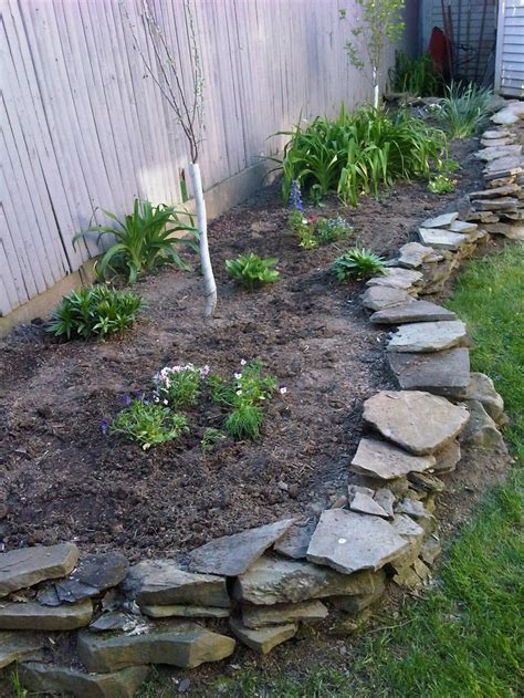 Clear off a section of land. Planted an apple and plum tree and some flowers for ...