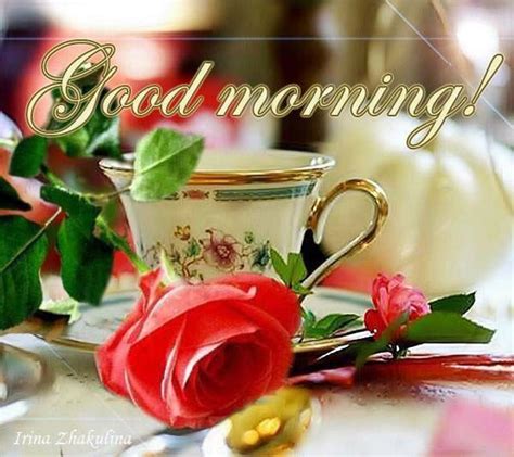 Good Morning Tea Cup And Rose Pictures Photos And Images For Facebook