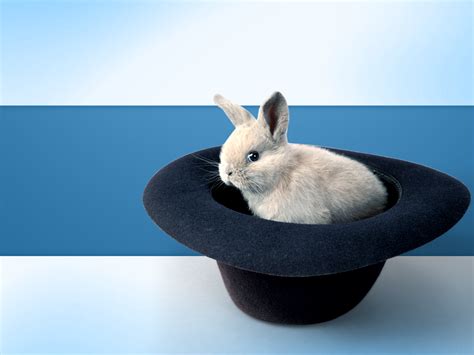 Bunny In Hat Powerpoint Templates For Powerpoint