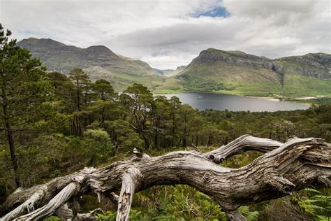 The Best Beinn Eighe National Nature Reserve Tours And Tickets 2021 The