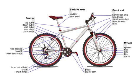 Bicycle Parts Diagram To Print 101 Diagrams