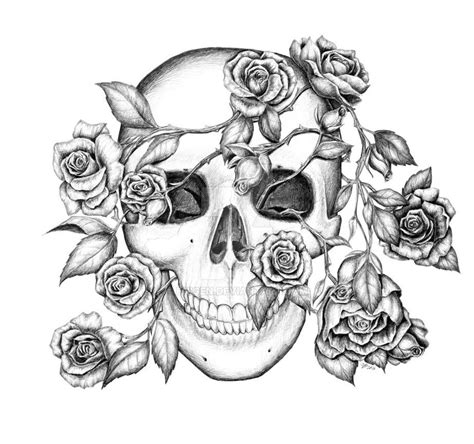 Skull and roses coloring page to color, print and download for free along with bunch of favorite skull coloring page for kids. Rosy Skull by fnigen | Skull coloring pages, Skulls ...