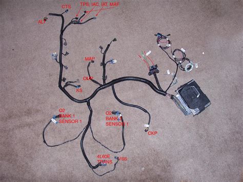 Good luck guys, and search around i found a pdf file for all eclectrical diagrams for yj's and xj's very. Lt1 Wiring Harness Modification - Wiring Diagram Schemas