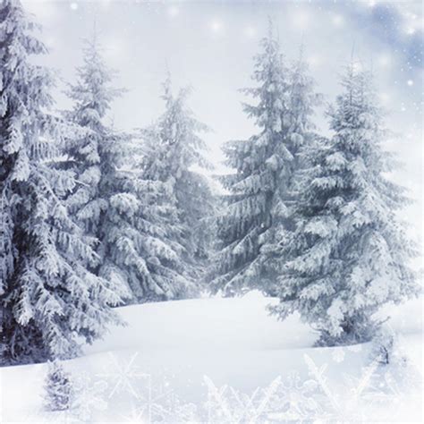 Attractive Winter Backgrounds Fashion Christmas Photography Backdrops