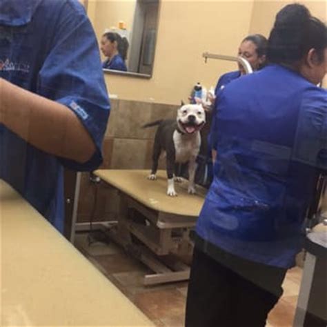 David ige said wednesday that starting oct. PetSmart - 112 Photos & 111 Reviews - Pet Groomers - 95 ...