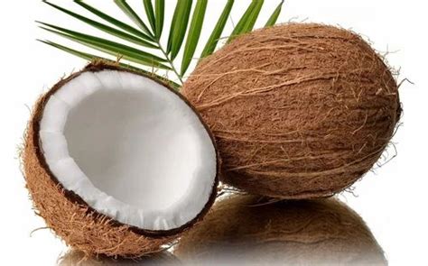 Indian Coconut At Rs 27000ton Indian Fresh Pollachi Coconut Exports