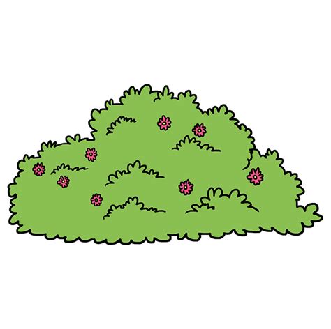 How To Draw A Bush Really Easy Drawing Tutorial