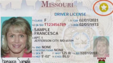 Drivers License Restriction Codes Missouri Seogapeseo