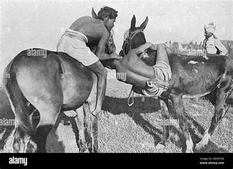 A Wrestling Match While Riding Mules Indian Troops At A Sports Meeting Held At Salonika During