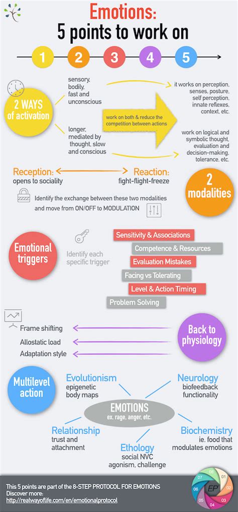 Infographic Emotions 5 Points To Work On Real Way Of Life
