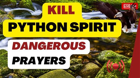 Kill The Python Spirit Dangerous Prayers Youtube