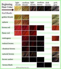 Logona All Natural Herbal Henna Red Hair Color 3 5oz Discontinued Out