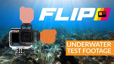 Gopro Hero 8 With Flip Underwater Video Test Footage Youtube