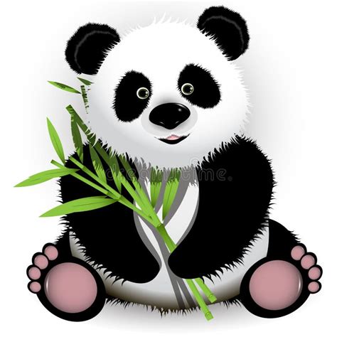 Panda Stock Vector Illustration Of Vector Jungle Fauna 21213343