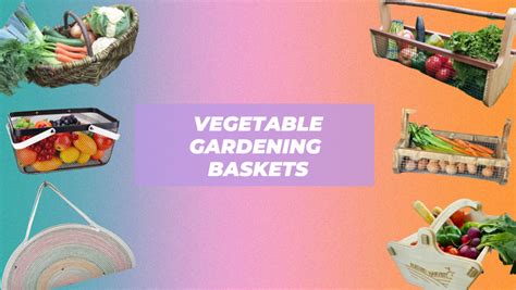 11 Vegetable Gathering Baskets Urban Farm And Backyard Gardens Punkmed