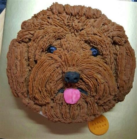 Paint tool sai (for drawing) gimp (for textures and effects) hypercam 2 (to record) wmm (video editing just a doodle to show i am still here. Poodle face cake. Free hand piping with mashed potato on ...