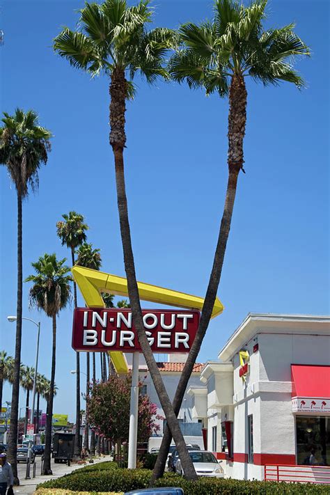 In N Out Burger Sunset Boulevard Hollywood Los Angeles Calif