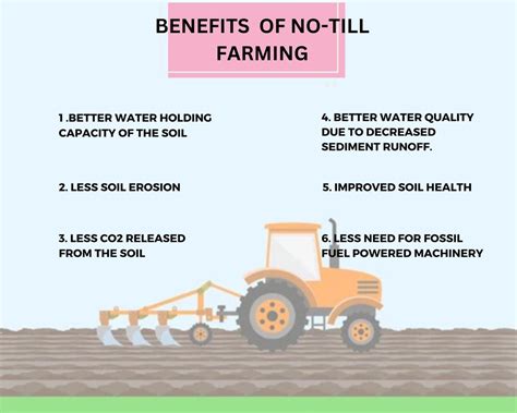 No Tillage Farming For Sustainable Agriculture Enhancing Soil Health