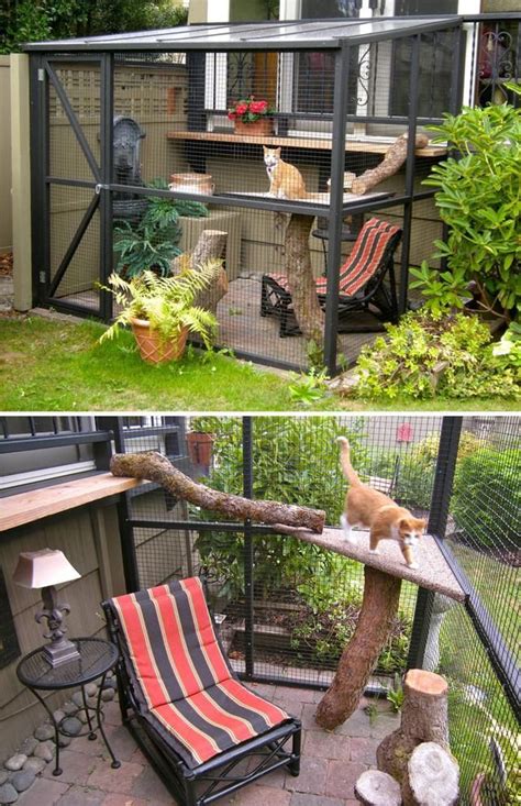Catios Cat Patios Outdoor Enclosures Cat Patio Indoor Cat Outdoor