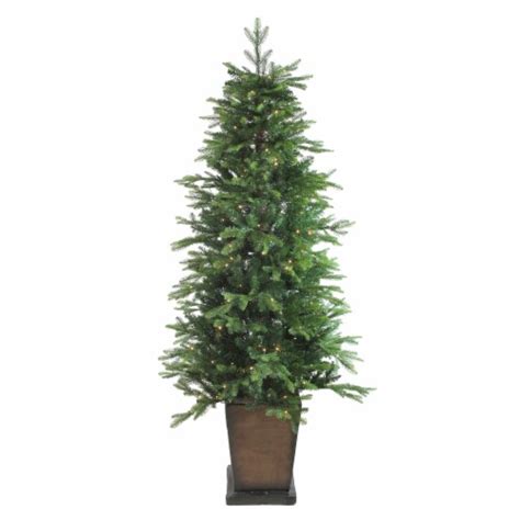 Northlight Real Touch ️ Pre Lit Oregon Noble Fir Slim Artificial Potted