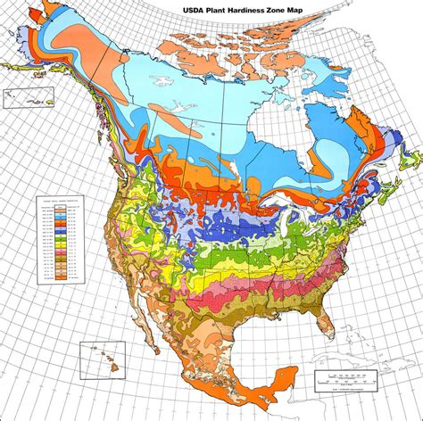 Us Department Of Agricultureusda Hardiness Zones Eat The Planet