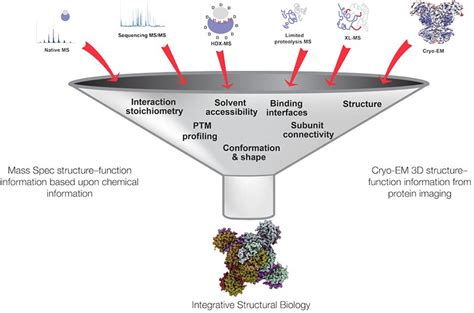 Viral Proteomics And Metabolomics Mass Spectrometry Thermo Fisher