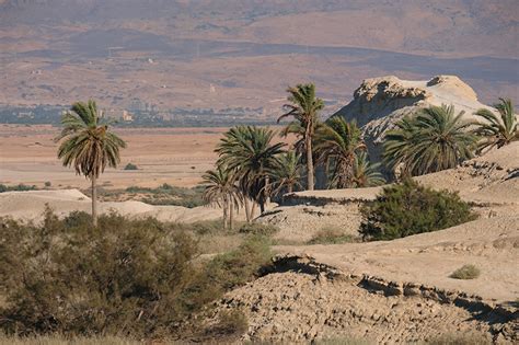 7 Datos Que Todo Viajero Debe Saber Sobre Israel National Geographic En Español