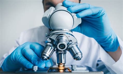 Importancia Del Microscopio En Medicina Salud Y Ciencia General