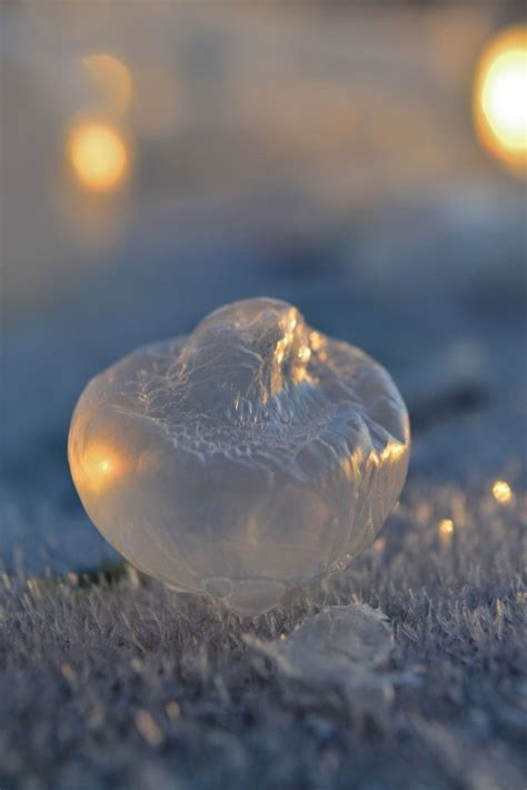 This Is What Happens When You Freeze Bubbles Frozen Bubbles Bubbles