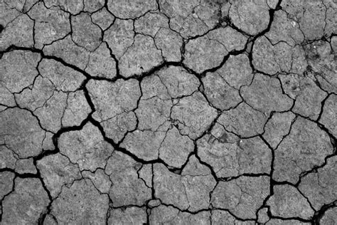 Dry Cracked Earth Parched Land Earth Dirt Texture Background Of Brown