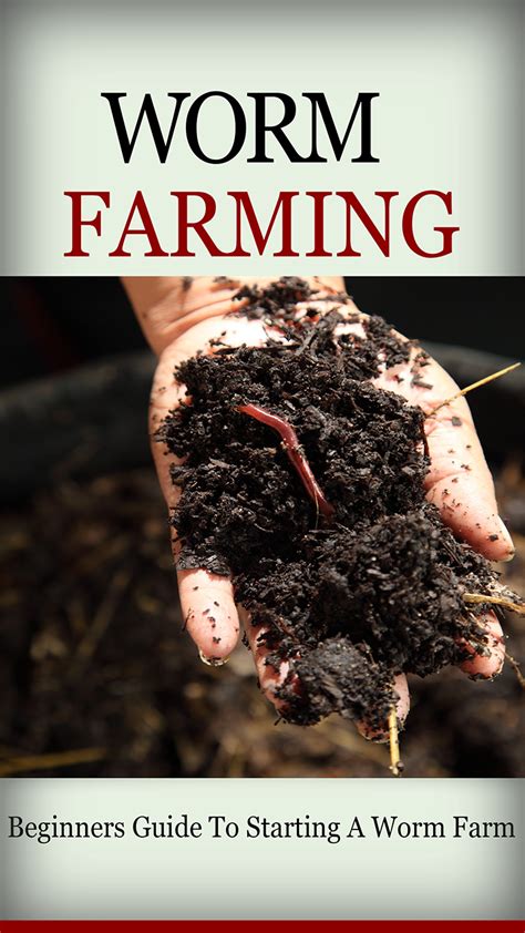 Worm Farm Beginners Guide To Start Worm Farm Discover How To Create A