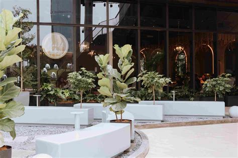 Pokok Lalaport - Brick House Group