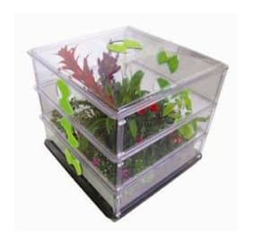 51 Tips for Greenhouse Gardening | PLR Atlas