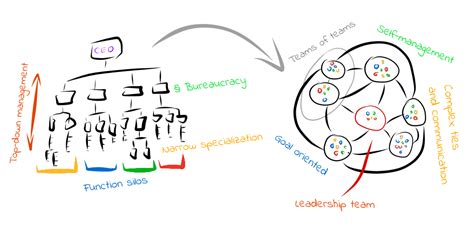 Agile Organizational Structure