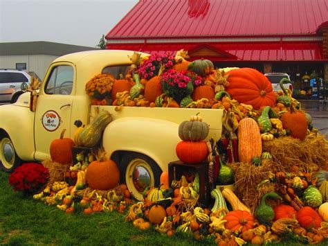 Falcon105 On Twitter Autumn Display Fall Harvest Fall Thanksgiving