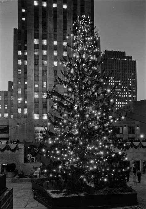 History Of The Christmas Tree Where Did The Christmas Tree Tradition